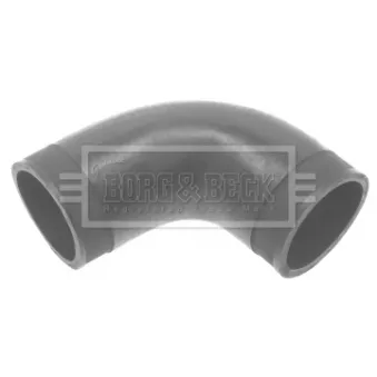 Gaine de suralimentation BORG & BECK BTH1311