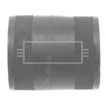 Gaine de suralimentation BORG & BECK BTH1313