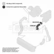 Gaine de suralimentation BORG & BECK BTH1317 - Visuel 3