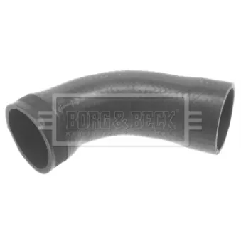 Gaine de suralimentation BORG & BECK BTH1318