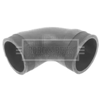 Gaine de suralimentation BORG & BECK BTH1319