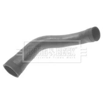 Gaine de suralimentation BORG & BECK BTH1320