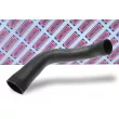 Gaine de suralimentation BORG & BECK BTH1320 - Visuel 2