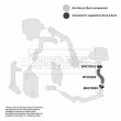Gaine de suralimentation BORG & BECK BTH1322 - Visuel 3