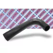 Gaine de suralimentation BORG & BECK BTH1325 - Visuel 2
