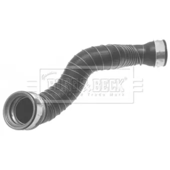 Gaine de suralimentation BORG & BECK BTH1330