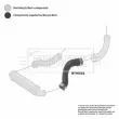 Gaine de suralimentation BORG & BECK BTH1333 - Visuel 3