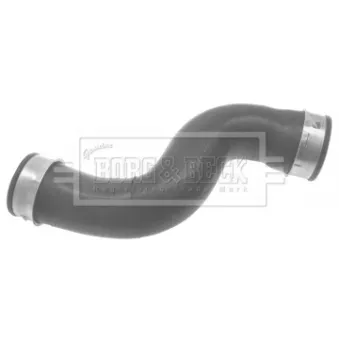 Gaine de suralimentation BORG & BECK BTH1338