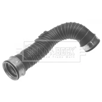 Gaine de suralimentation BORG & BECK BTH1340