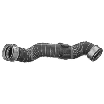 Gaine de suralimentation BORG & BECK BTH1341