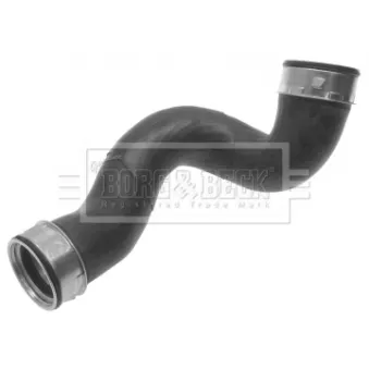 Gaine de suralimentation BORG & BECK BTH1342