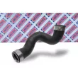 Gaine de suralimentation BORG & BECK BTH1342 - Visuel 2