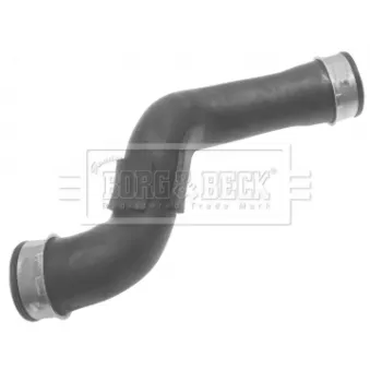 Gaine de suralimentation BORG & BECK BTH1343