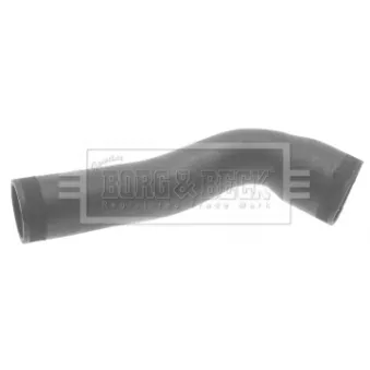 Gaine de suralimentation BORG & BECK BTH1345