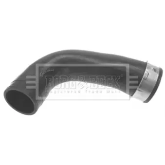 Gaine de suralimentation BORG & BECK BTH1349