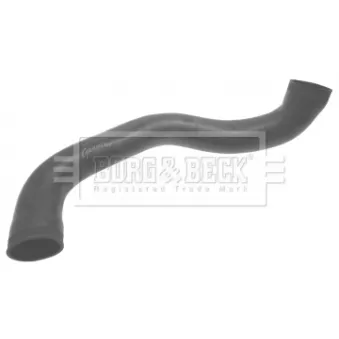 Gaine de suralimentation BORG & BECK BTH1351