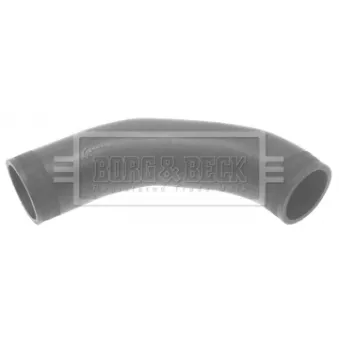 Gaine de suralimentation BORG & BECK BTH1353