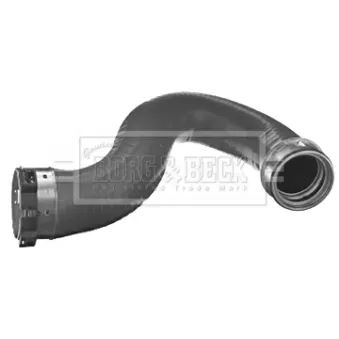 Gaine de suralimentation BORG & BECK BTH1365