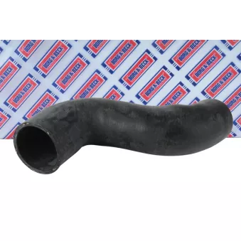 Gaine de suralimentation BORG & BECK BTH1366