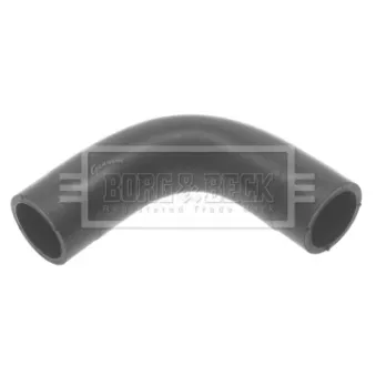 Gaine de suralimentation BORG & BECK BTH1368