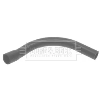 Gaine de suralimentation BORG & BECK BTH1369