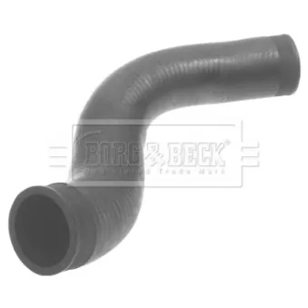 Gaine de suralimentation BORG & BECK BTH1370