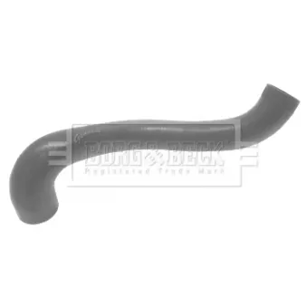 Gaine de suralimentation BORG & BECK BTH1375