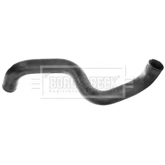Gaine de suralimentation BORG & BECK BTH1380