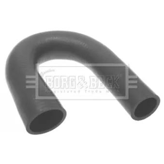 Gaine de suralimentation BORG & BECK BTH1381