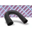 Gaine de suralimentation BORG & BECK BTH1381 - Visuel 2