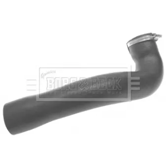 Gaine de suralimentation BORG & BECK BTH1385