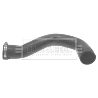 Gaine de suralimentation BORG & BECK BTH1391