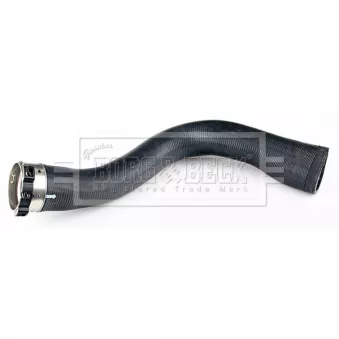 Gaine de suralimentation BORG & BECK BTH1394