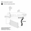 Gaine de suralimentation BORG & BECK BTH1394 - Visuel 3