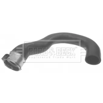 Gaine de suralimentation BORG & BECK BTH1395