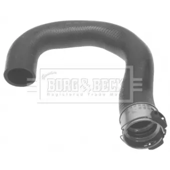 Gaine de suralimentation BORG & BECK BTH1397
