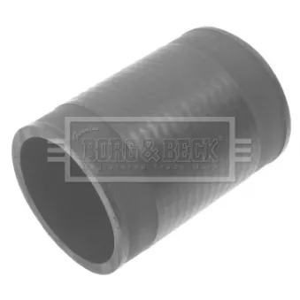 Gaine de suralimentation BORG & BECK BTH1399