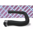Gaine de suralimentation BORG & BECK BTH1403 - Visuel 2