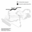 Gaine de suralimentation BORG & BECK BTH1432 - Visuel 3