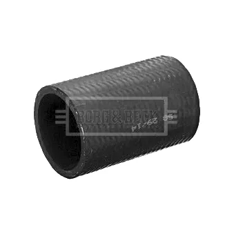 Gaine de suralimentation BORG & BECK BTH1434