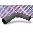 Gaine de suralimentation BORG & BECK BTH1435 - Visuel 2