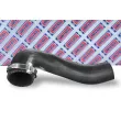 Gaine de suralimentation BORG & BECK BTH1437 - Visuel 2