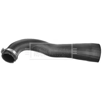 Gaine de suralimentation BORG & BECK BTH1438
