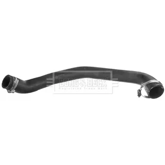Gaine de suralimentation BORG & BECK BTH1439