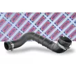Gaine de suralimentation BORG & BECK BTH1441 - Visuel 1