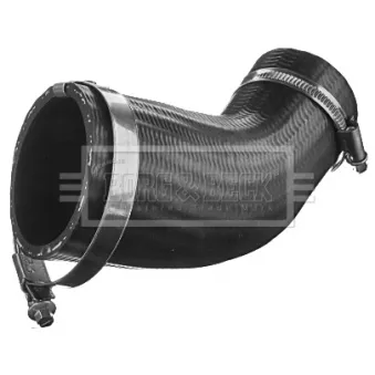 Gaine de suralimentation BORG & BECK BTH1443