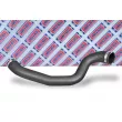 Gaine de suralimentation BORG & BECK BTH1446 - Visuel 2