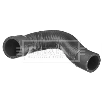 Gaine de suralimentation BORG & BECK BTH1449