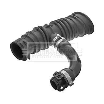 Tuyau d'aspiration, alimentation d'air BORG & BECK BTH1454
