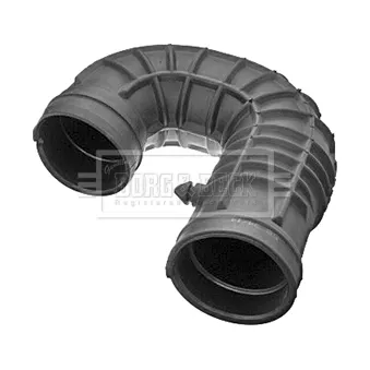 Tuyau d'aspiration, alimentation d'air BORG & BECK BTH1460